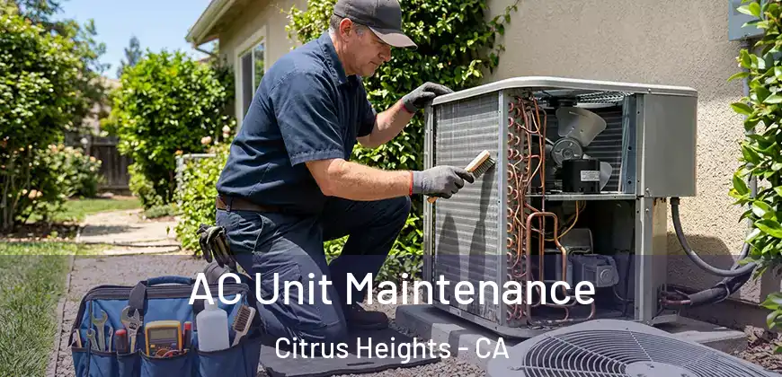  AC Unit Maintenance Citrus Heights - CA